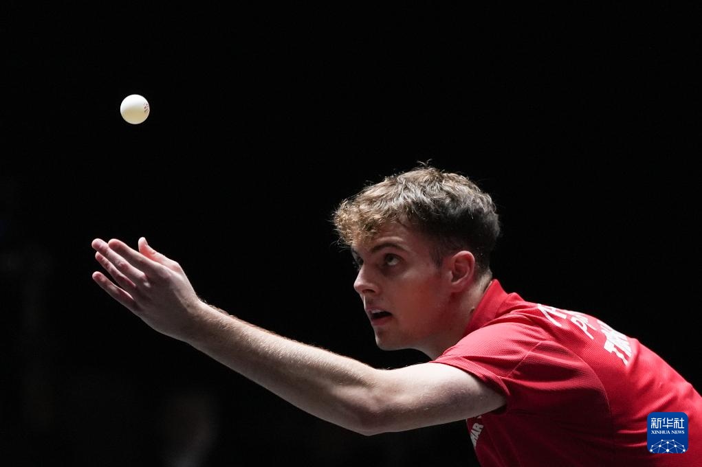 森林狼加入 森林狼加入