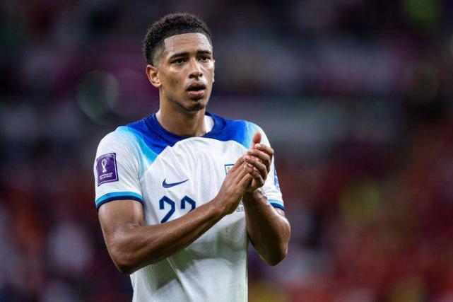 他们将有机 他们将有机